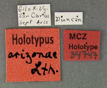 Media type: image;   Entomology 34747 Aspect: labels